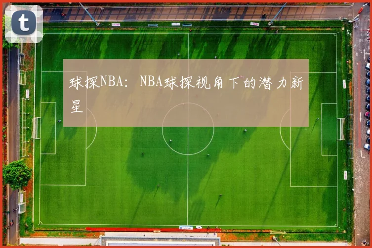球探NBA：NBA球探视角下的潜力新星
