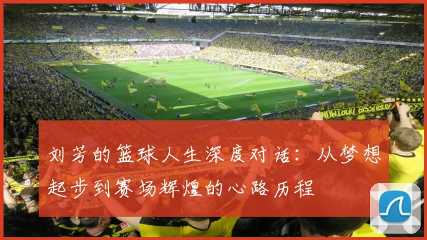 刘芳的篮球人生深度对话：从梦想起步到赛场辉煌的心路历程