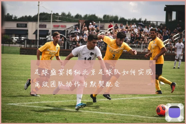足球盛宴揭秘北京足球队如何实现高效团队协作与默契配合